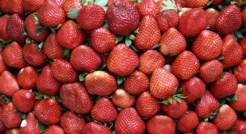 فندق ترافيليت إكسبريس باغيو المظهر الخارجي الصورة